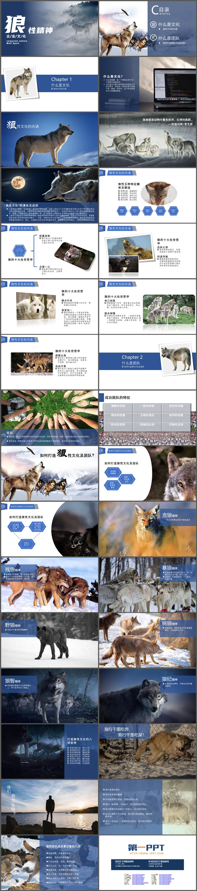 狼群背景的狼性精神企业文化培训PPT模板下载