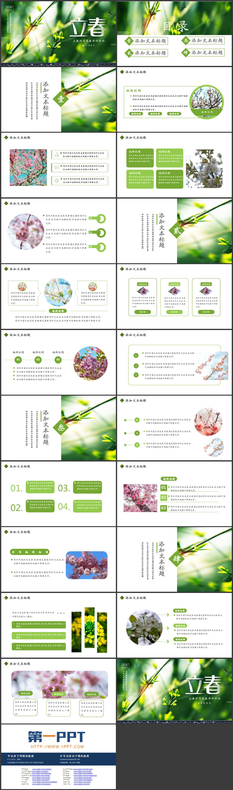 精美绿色树枝发芽背景立春节气介绍PPT模板